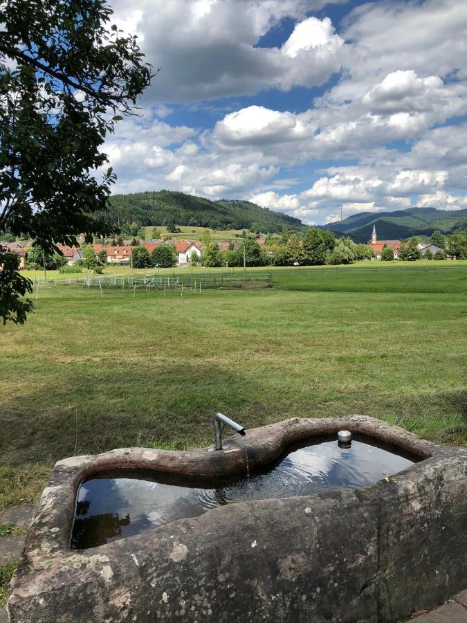 Ferienwohnung Am Gaessle Ettenheim Bagian luar foto