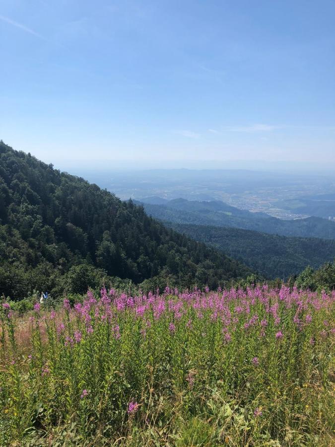 Ferienwohnung Am Gaessle Ettenheim Bagian luar foto